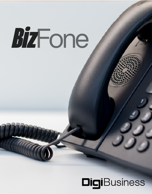 Digi-BizPhone